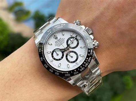 rolex panda on wrist